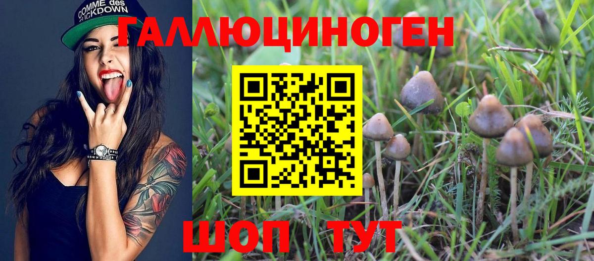 Галлюциногенные грибы мухоморы Пушкино
